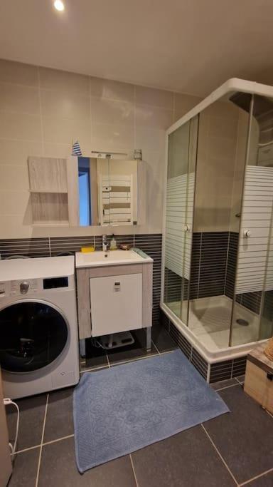 Appartement Cocooning Ars-sur-Moselle Екстериор снимка